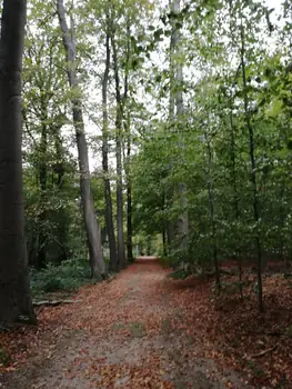 Gaasbeek + Castle of Gaasbeek (Lennik, Belgium)